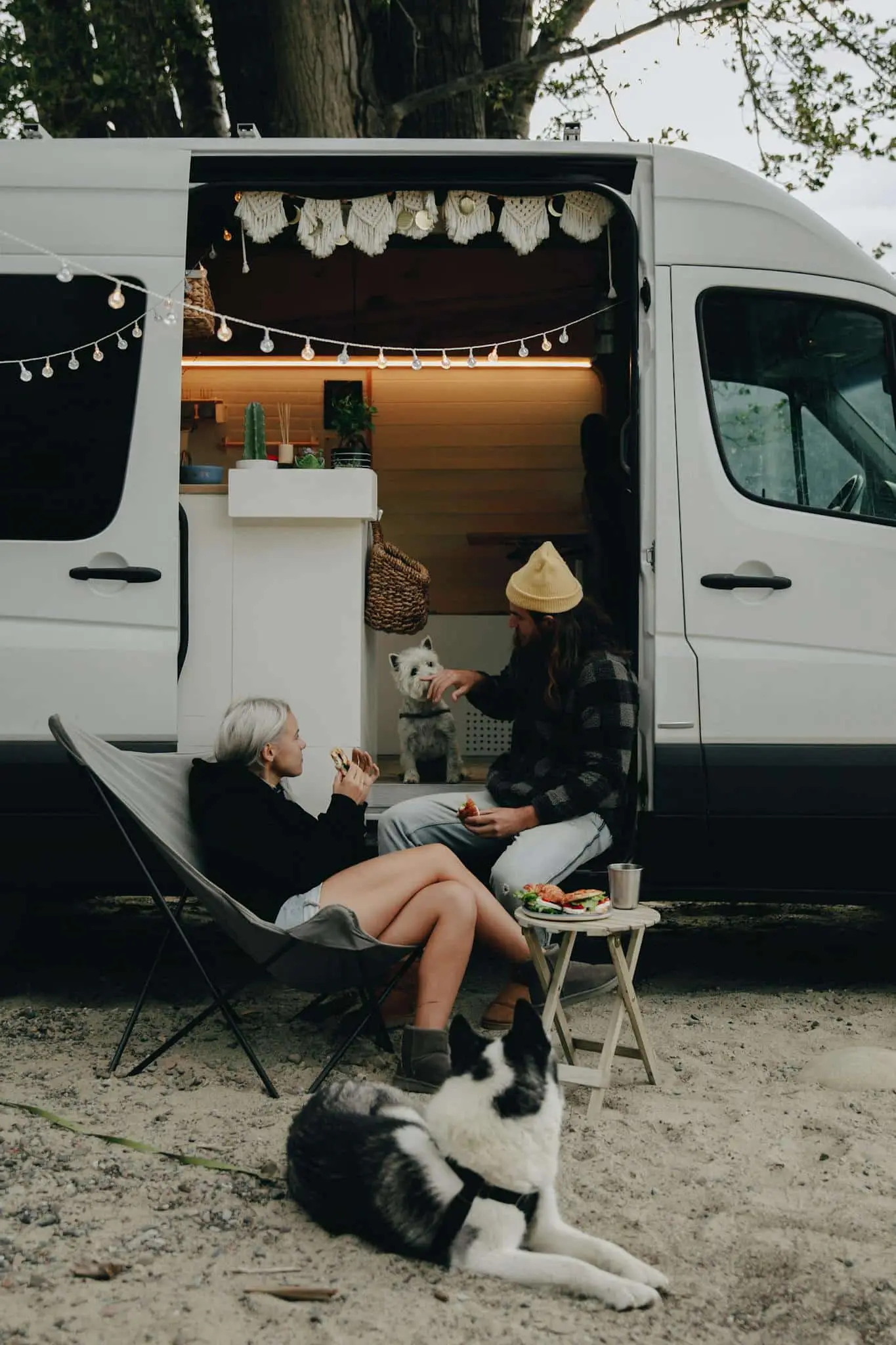 Guests relaxing outside a campervan with their dogs at the park